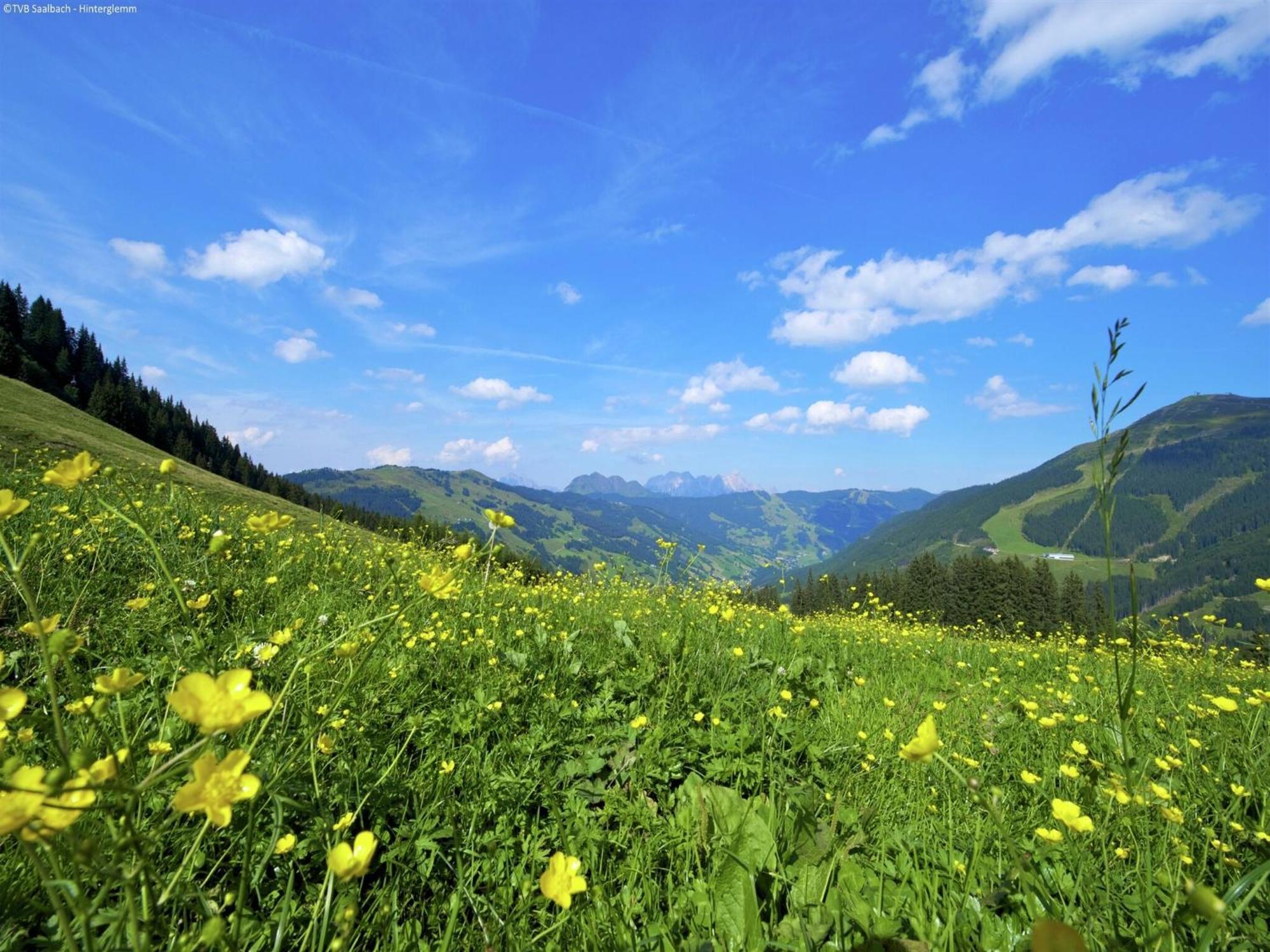 Apartment In Saalbach Hinterglemm Near Ski Area Bagian luar foto